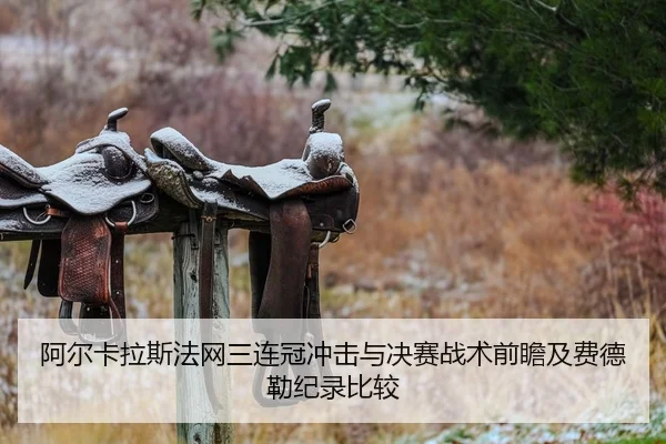 阿尔卡拉斯法网三连冠冲击与决赛战术前瞻及费德勒纪录比较